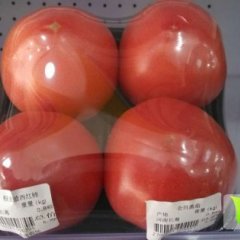 2015金水西红柿抓住商机无限