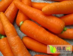 山东济阳胡、白萝卜著名品种