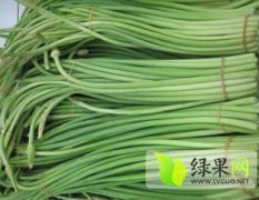 山东济阳蒜台蒜薹火爆招商中