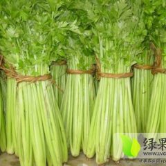 济阳芹菜火热上市,开元胡玉刚诚信合作