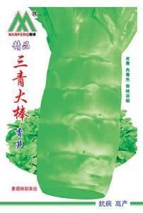 湖北钟祥青皮莴苣假一赔十