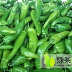 2015济阳辣椒现在订货有惊喜