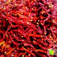 新疆克拉玛依大农业无污染线辣椒 已晒干装袋