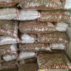 山东滕州荷兰十五土豆随行就市