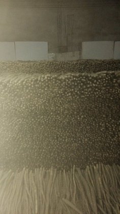 河北辛集小白嘴其他蔬菜何去何从