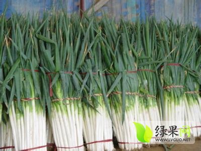 2015年山东滕州长白大葱价格
