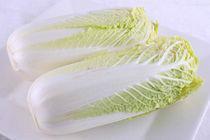 河北定州娃娃菜大量上市