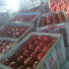 2015任城西红柿再不来就没机会了！