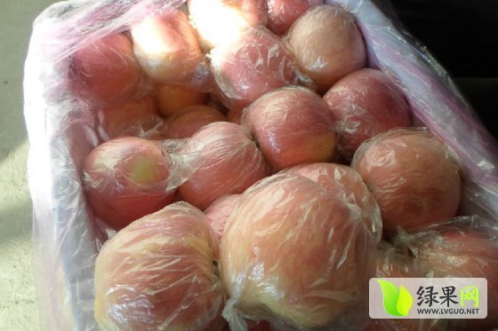 2015年山西万荣红富士价格