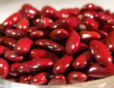 红芸豆为山西特产，颗粒硕大