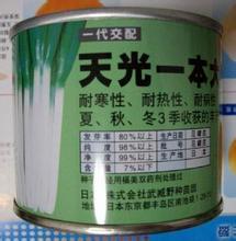 2015年山东安丘安丘钢葱种子价格