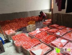 临沂市胡阳镇崔安清供应硬粉今天1.9元/斤