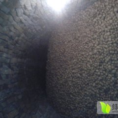 武川上秃高桂枝2月克新一号土豆