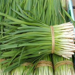 山东泗水汉中韭王韭菜营养丰富