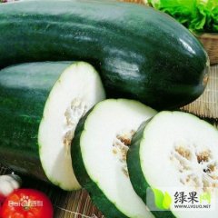 西青冬瓜聚焦市场,杨柳杨紫陌诚信合作