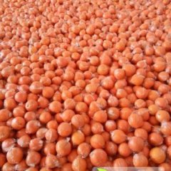 下桥保鲜纽荷尔脐橙批2.8元至3元