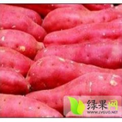 雁江红薯营养丰富,临江赵小龙诚信合作