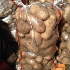 中旗夏波蒂急售小龙诚信合作