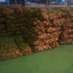 元谋洋葱3月上市黄皮洋葱