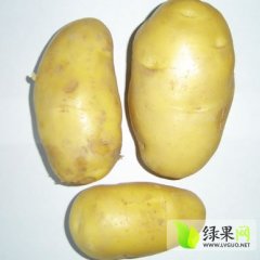 三两以上6角/斤