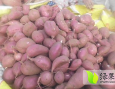 河南邓州保鲜库有大量红薯(苏薯8号)出售