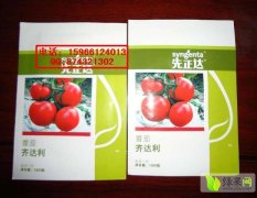 寿光洛城李义柱3月先正达齐达利番茄种子