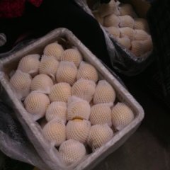 安徽砀山贡梨上货量大