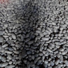 张北土豆上货量大,张北张筱诚信合作