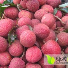 白蜡黑叶荔枝我是处特色水果