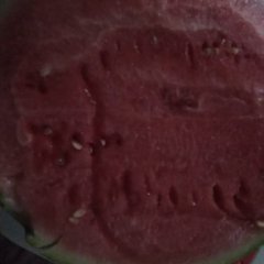 思茅景东 专业种植8424麒麟瓜十余年