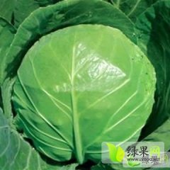 河北邯郸市曲周县广下蔬菜批发市场