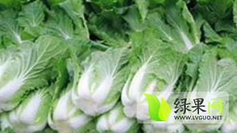 2015年山东沂南青杂三号价格