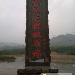 沂源燕崖王亮4月红灯樱桃