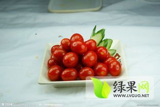 莘县圣女果代收