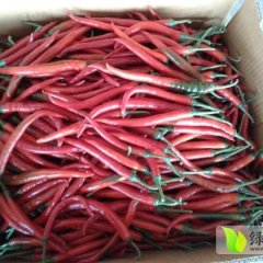 湛江红辣椒打酱生产之乡，凯风辣椒孙生诚信合