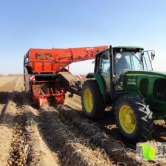 2016 荷兰、克新 马铃薯1.0元（刘清）