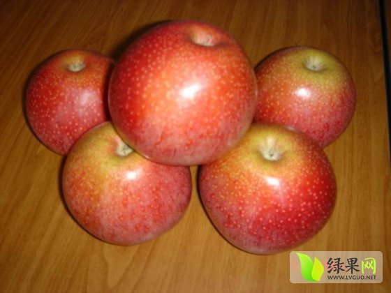 2015年陕西淳化秦冠价格