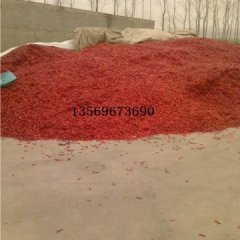 河南红太阳辣椒