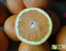四川雁江大量出产夏季橘子