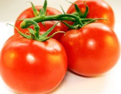 2015莘县西红柿，大家一起赚钱