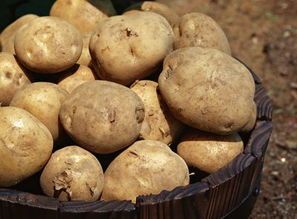 吉林吉林延薯四号土豆名扬天下