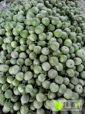 2015年山东莘县脆宝价格