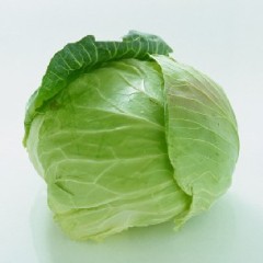 2015嘉鱼甘蓝现在订货有惊喜