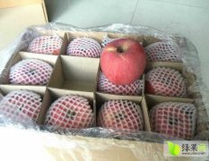 陕西宜川冷库红富士苹果销售