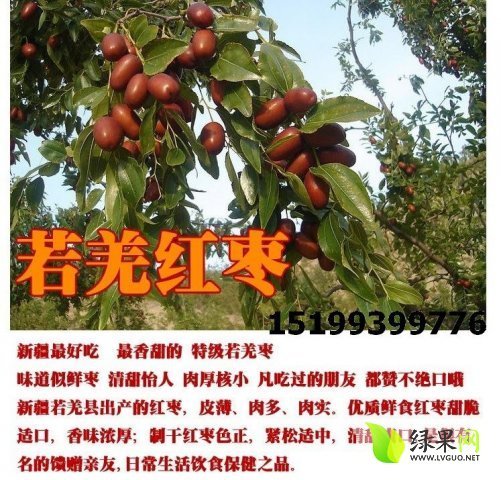 2015年新疆若羌新疆若羌灰枣价格
