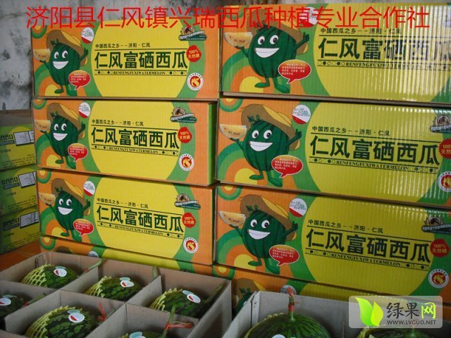 富硒西瓜价格