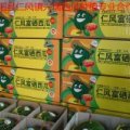 济阳仁风富硒西瓜