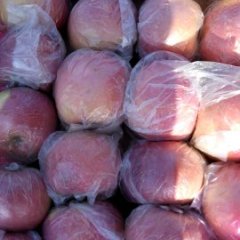 山西运城膜袋富士