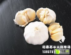 河南杞县苏木大蒜著名品种