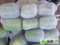2015年山东莘县铁冠军冬瓜价格